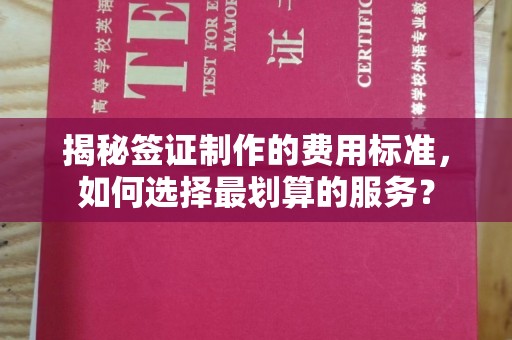 遂川揭秘签证制作的费用标准，如何选择最划算的服务？